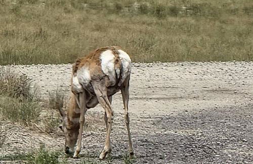 3 bed 2.5 bath smart home with rv parking - Foto 13