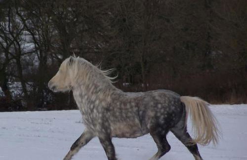 Stunning cottage nestled under the Longmynd Hills. - Foto 19