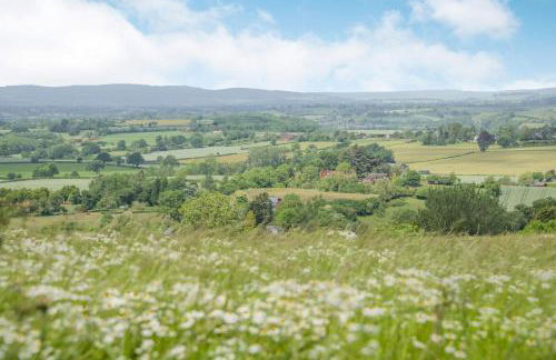 The Chestnuts - Foto 45