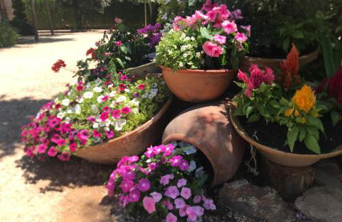 Casa Rural con Encanto CABAÑA EL SALSE - Foto 14