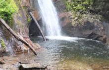 Healing Acres - Foto 57