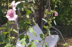 Siesta Apartments - Foto 23