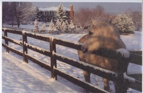 Villa Maud - Foto 48