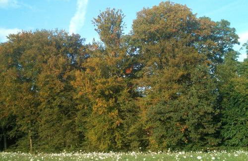 Sonnenterrasse - Foto 19