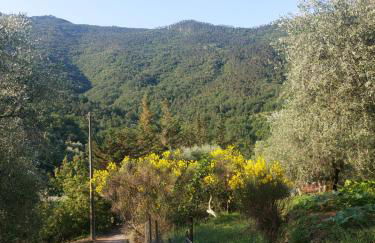 Nostro Rifugio - Foto 9