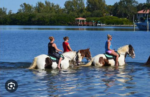 NEW Renovated luxury home with private heated pool, game room Near Anna Maria Island and IMG - Photo 38