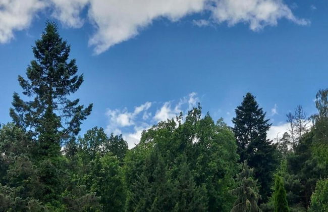 Apartment in Armsfeld With Pool - Foto 29