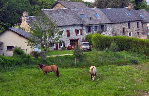 NESST - Gîte Horse & Dog Friendly Cottage - Foto 22
