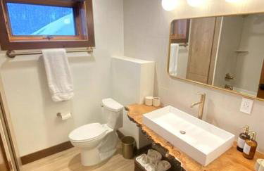 Modern Mountain Lake House - Foto 75