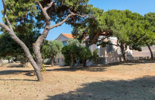 DellaGracia Mansion in Poseidonia Syros - Photo 3