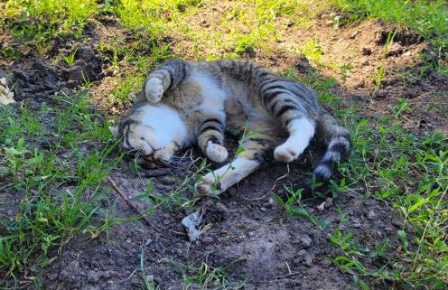 Heidehof Kuppendorf - Foto 6