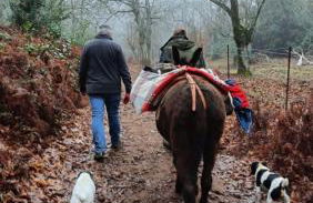 Casa rural La Frambuesa - Foto 20