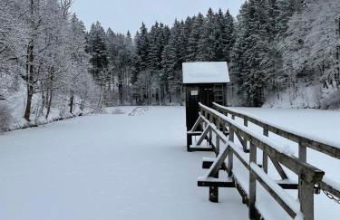 Großzügige Souterrainwohnung in historischer Stadtvilla im Herzen Zellerfelds - Foto 24