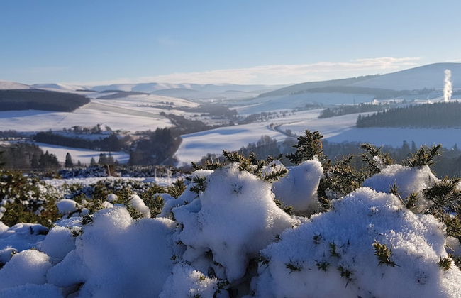 Linn of Avon Holiday Cottages - Foto 18