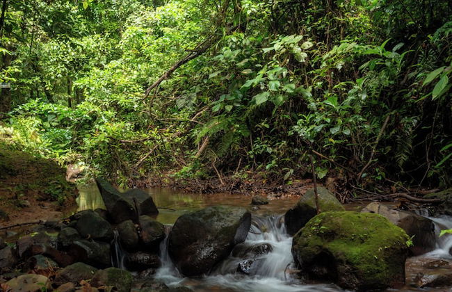 Villas Josipek - Photo 71