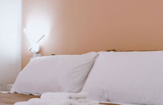 GG - Grow - Santa Brigida - Foto 10