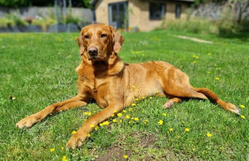 The Garden Room - Foto 14