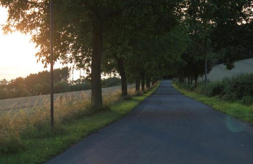 FeWo Harling - Waldsamkeit - Foto 13