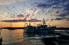 Apartmani Roxy - Foto 37