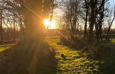 Sandpipers Cottage - Devon Sleeps 4, Garden, rural, Dog friendly - Photo 9