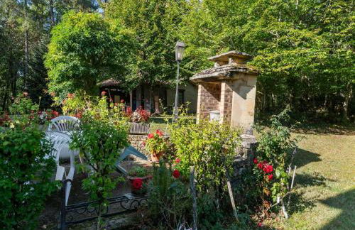 Cosy holiday home with garden - Foto 20