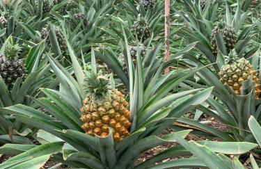 The Right Place to Relax - Photo 35