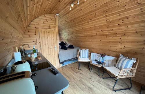 The Pod Patch - Trelerney Pod - Foto 8