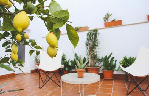 Apartamentos entreRíos - Foto 13