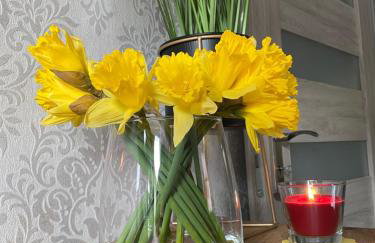 Apartament Artemida Kletno - Foto 13