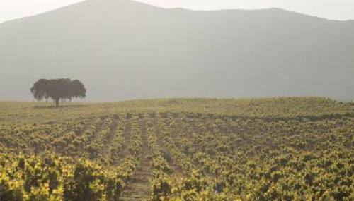 Casa Fresca Mar - Vila Fresca Azeitão - Arrabida - Foto 3