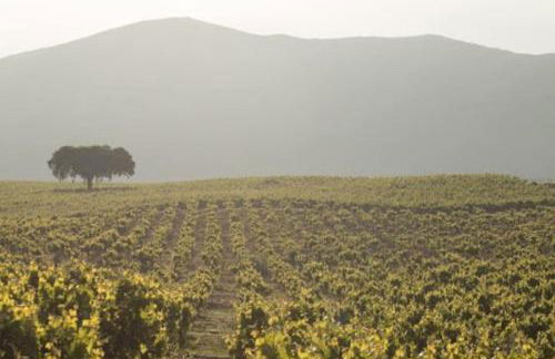 Casa Fresca Mar - Vila Fresca Azeitão - Arrabida - Foto 3