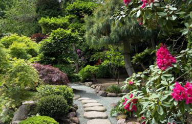 Wiśniowy Sad - Foto 76