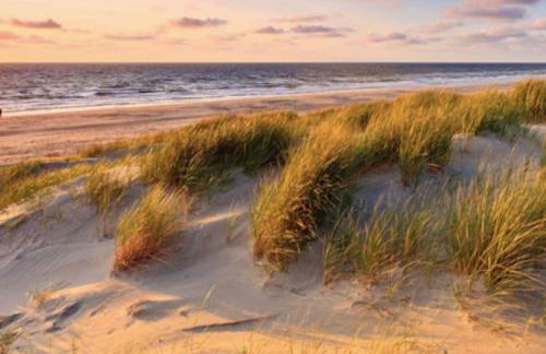 Appt 4-5 pers au Verdon-sur-Mer dans résidence de tourisme 3 étoiles - Foto 17