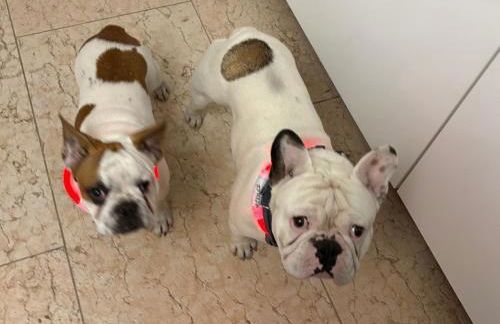 Seeblick und offener Kamin - Casa di Florian - Photo 60