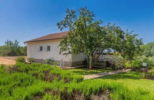 Apartments Marica - Foto 27