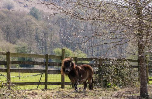 The Cottage at Rocklands Farm - Foto 3