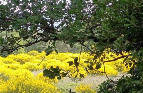 LA GARDE ADHEMAR, L'escalier Médiéval - Foto 67