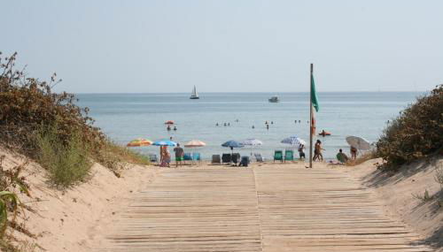 OLIVA HOLIDAYS 1 - Photo 4