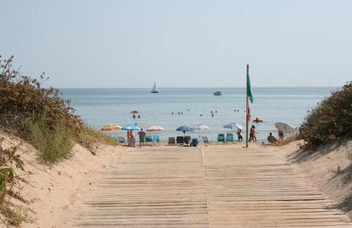 OLIVA HOLIDAYS 1 - Photo 4