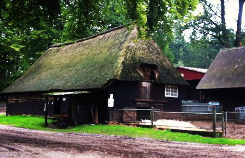 Ferienwohnung Heide View - Foto 50