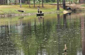La Dolce Villa Pond Retreat in Yosemite - Foto 25