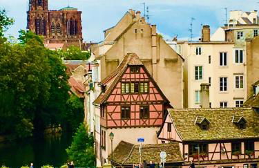 Cosy apartment on Strasbourg tramway line - Foto 19