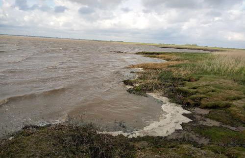 Fischerhaus am Deich 45233 - Foto 7