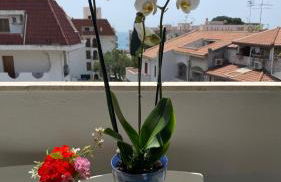 Sea View 2 Bedroom Vacation Apartment - Foto 13