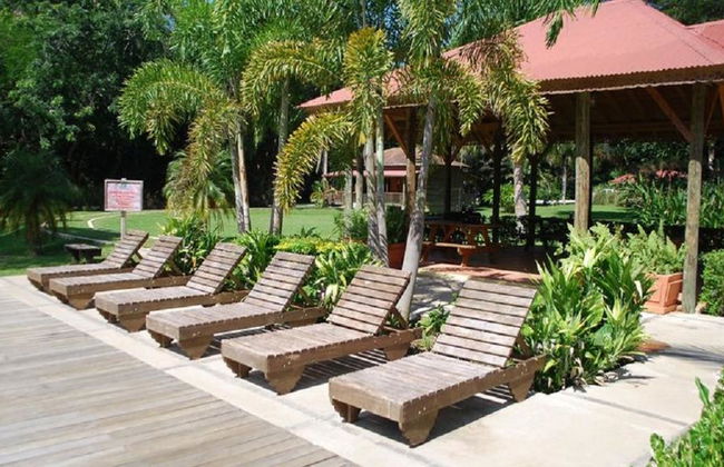 Chukka Appleton Estate & YS Falls - Negril - Foto 7