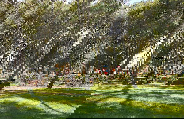 Aminess Planet Camping Holiday Homes Sirena - Foto 64