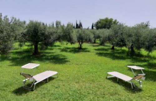 Casetta Relax da Antonio - Foto 20