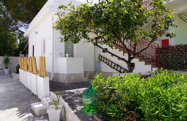 Il Colibrì - Arcuève - Photo 24