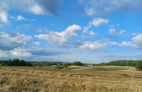 Siedlisko Dwa Żurawie - Uroczy domek nad stawem, z kominkiem, obok konie - Foto 24