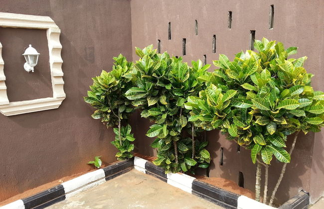 Longe Villa - Foto 12